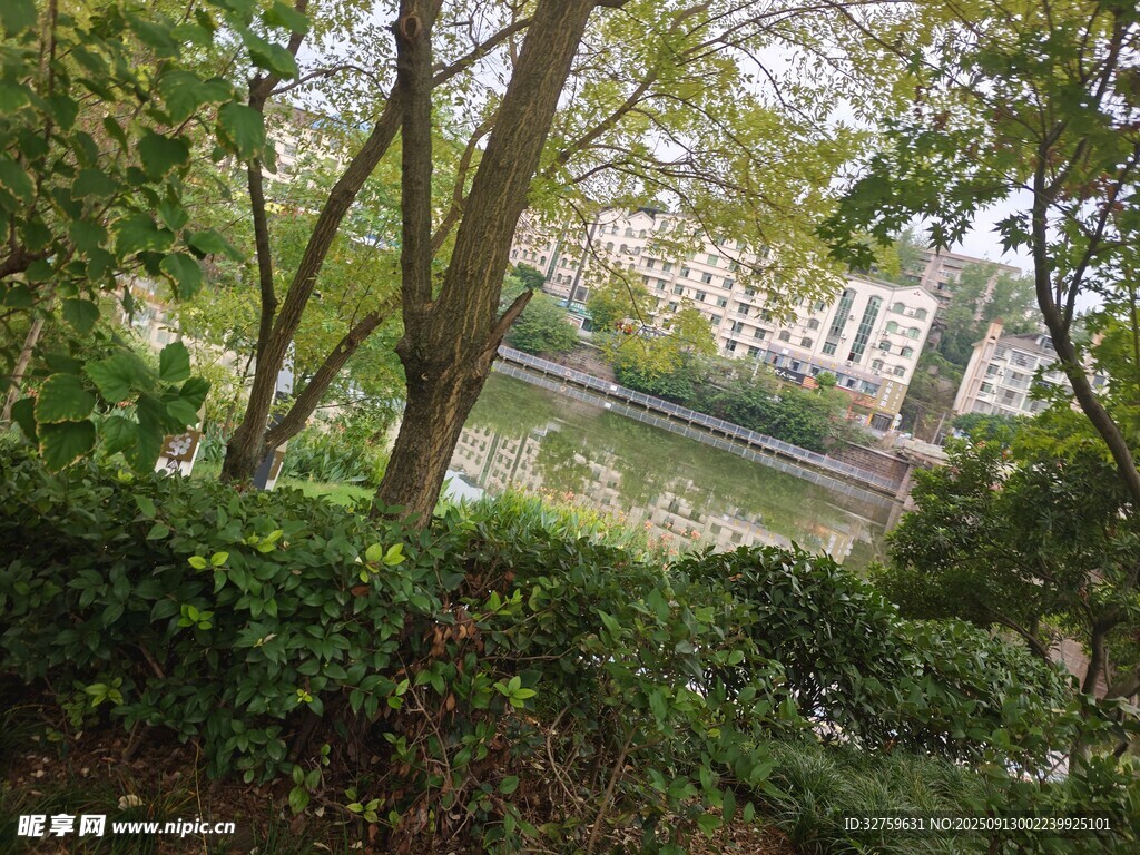 林間河畔景致