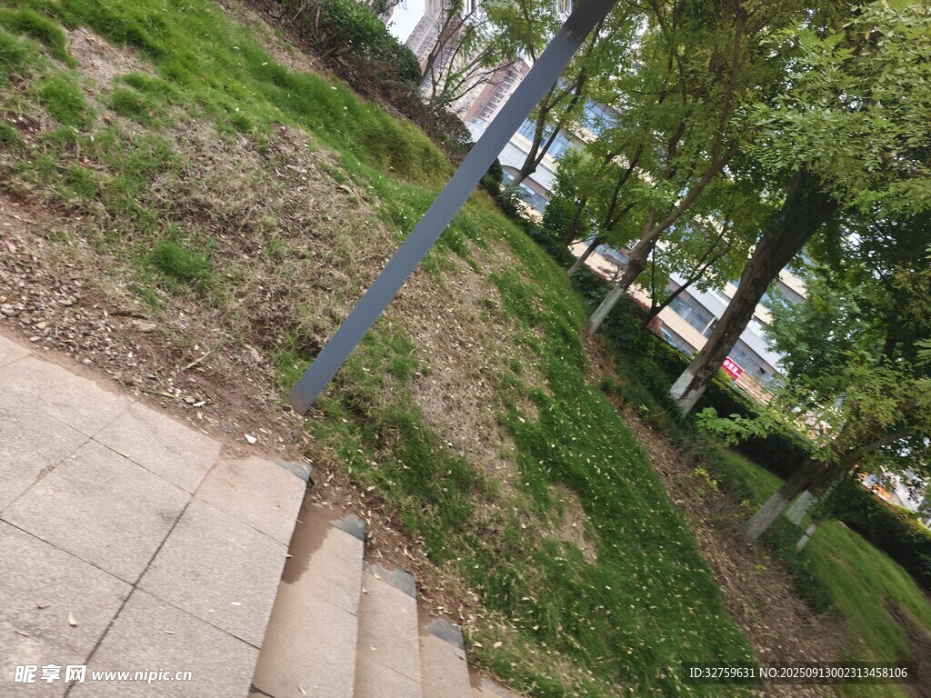 戶外小徑旁的綠意景觀