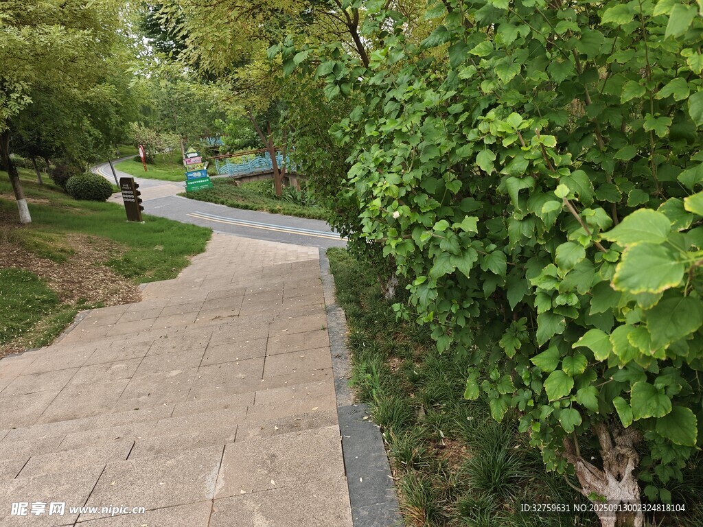 林間小徑 