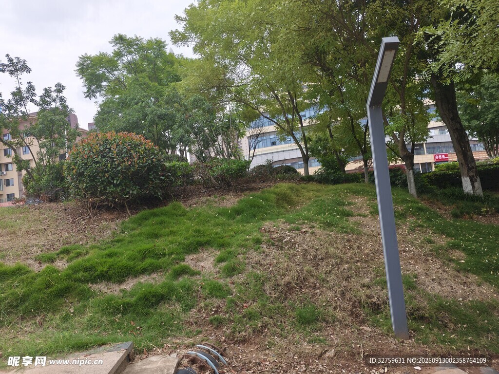 戶外公園草地與路燈景觀
