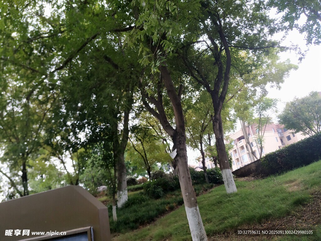 戶外綠樹成蔭的景致