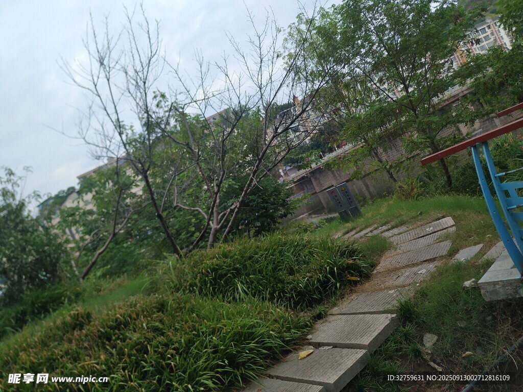 山間小徑旁的綠植景觀