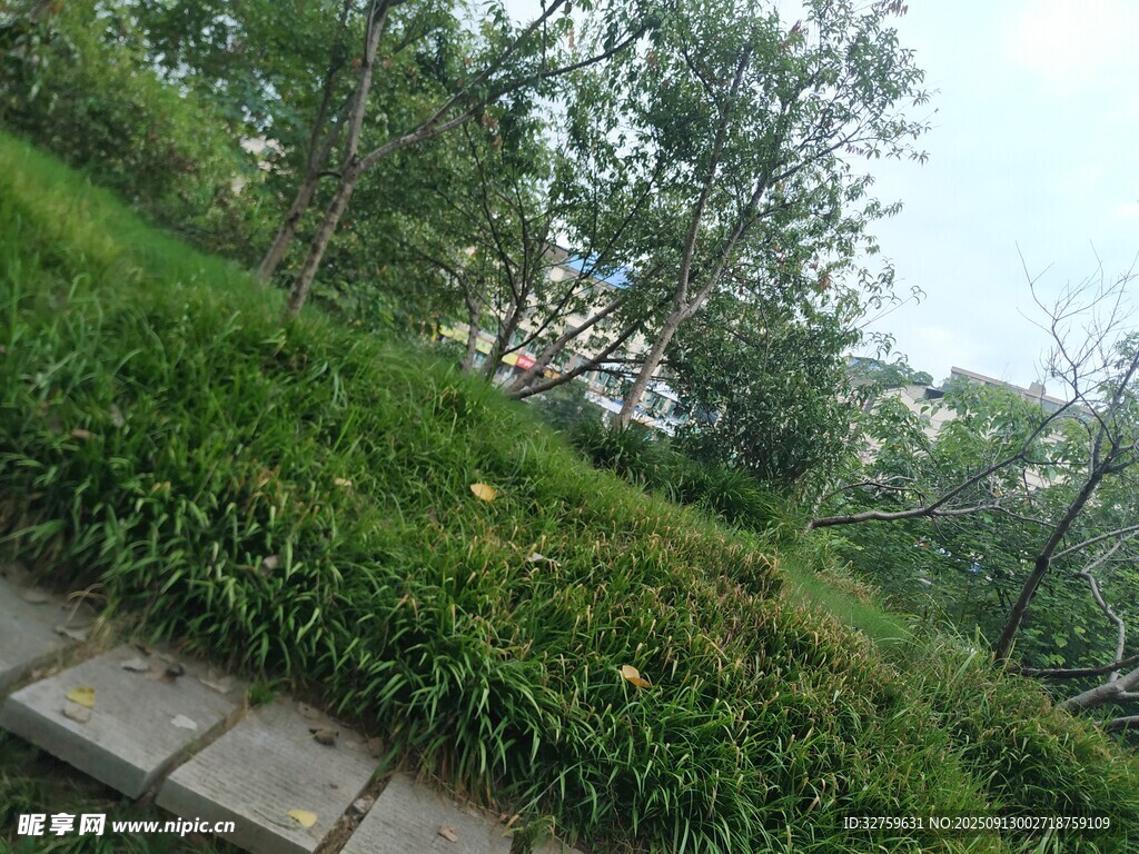 戶外綠植環(huán)繞的石板小徑