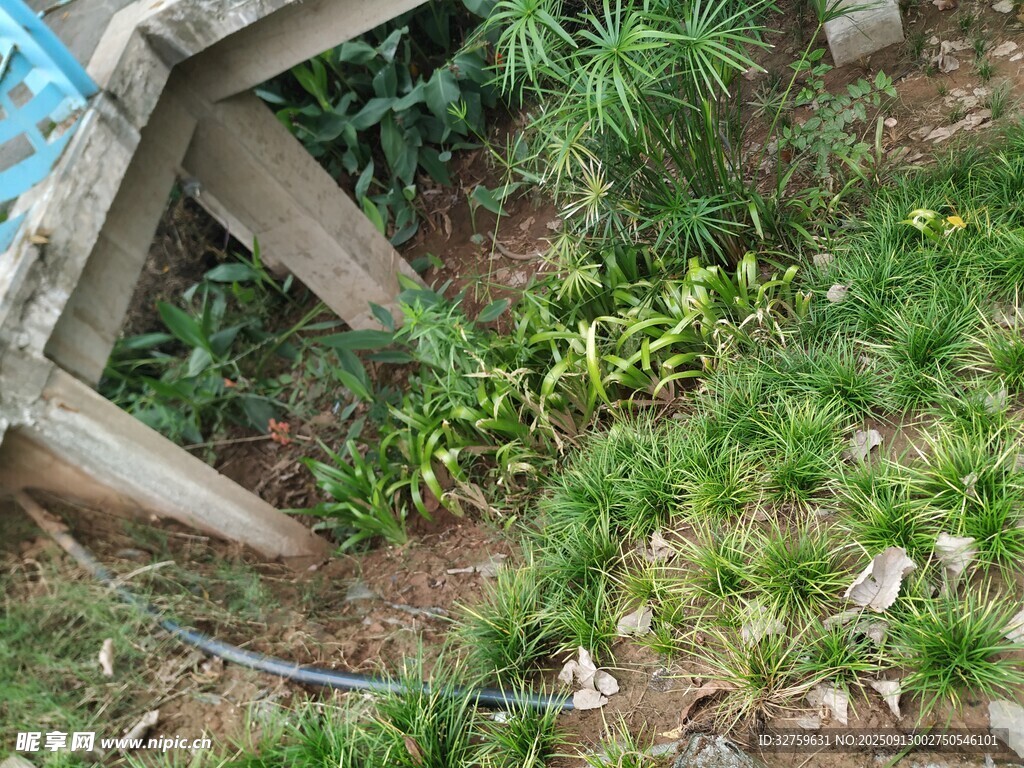 木椅旁的綠植與泥土