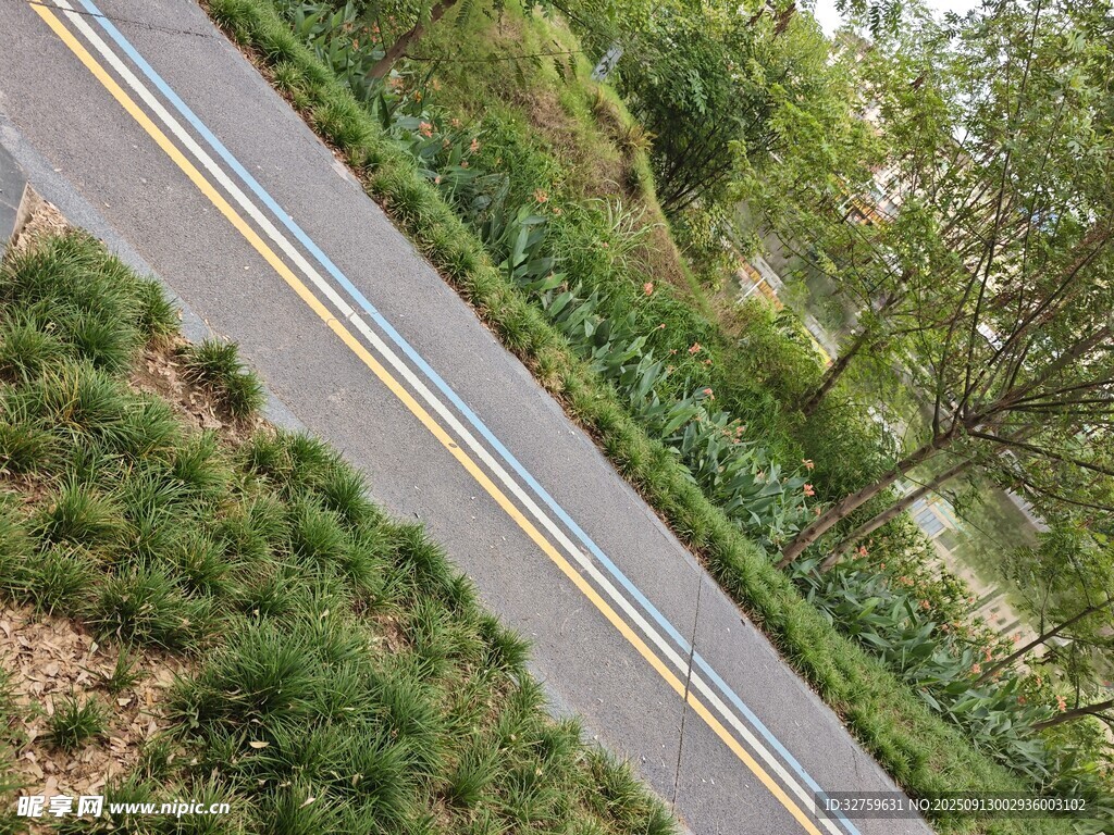 蜿蜒公路穿行綠意間