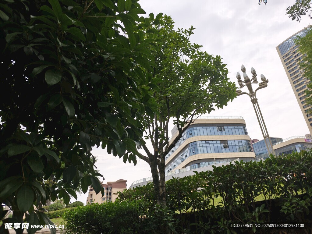 綠樹掩映下的現(xiàn)代建筑