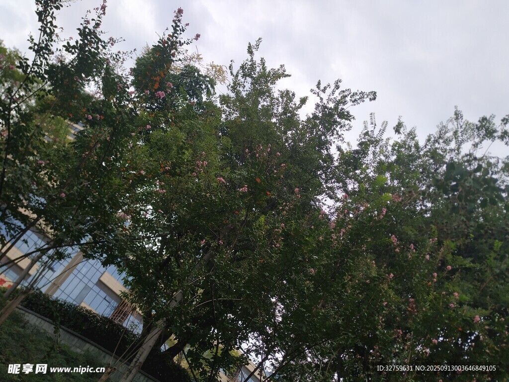 綠樹成蔭的戶外景致