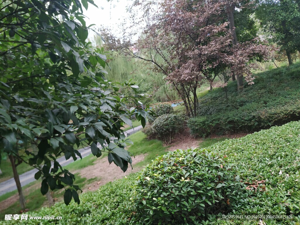 春日園林綠植景觀