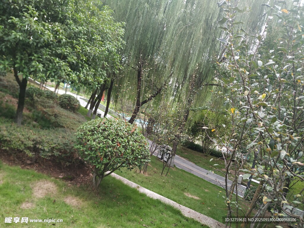 公園綠意盎然的景致