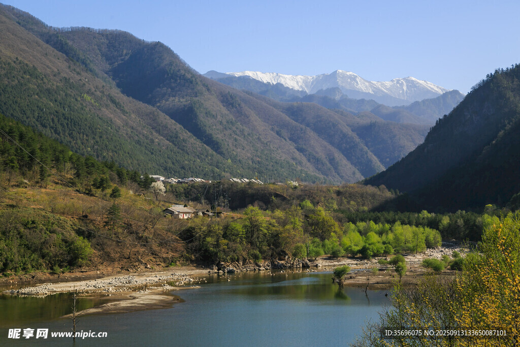 秦嶺黃柏塬