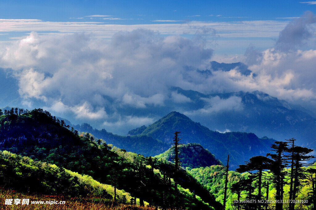 秦嶺山風(fēng)光