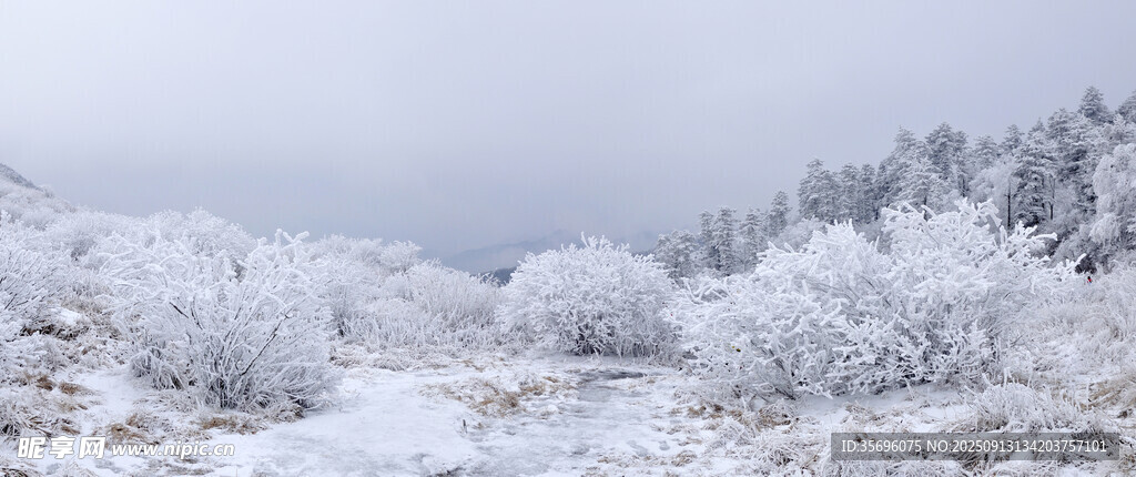 秦嶺山冬天