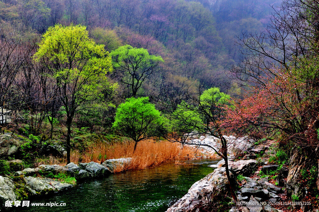 秦嶺山風(fēng)光