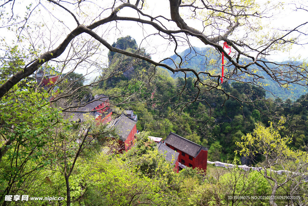 山間紅亭隱于蔥郁林木間