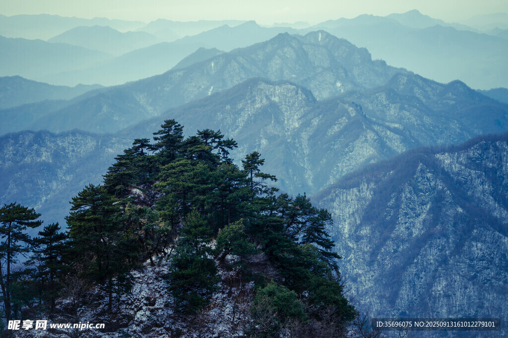 巍峨高山頂?shù)氖[郁樹木