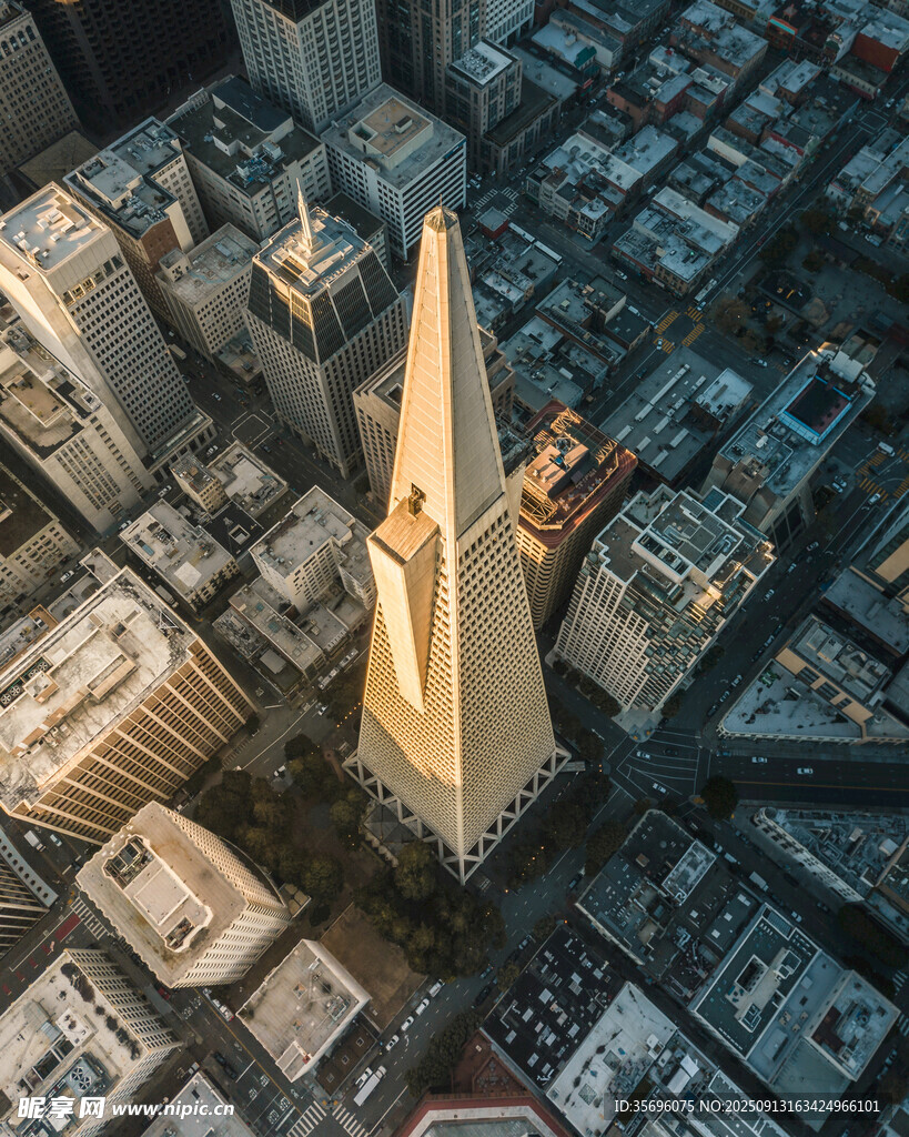 俯瞰城市中的高聳建筑