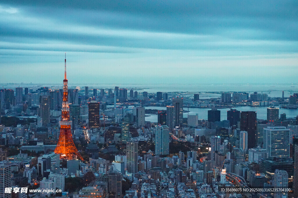 東京城市天際線夜景俯瞰