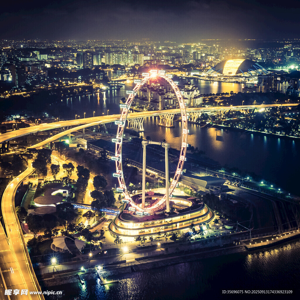 璀璨夜景中的摩天輪