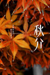 秋分 