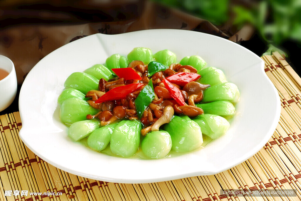 菜膽野菌