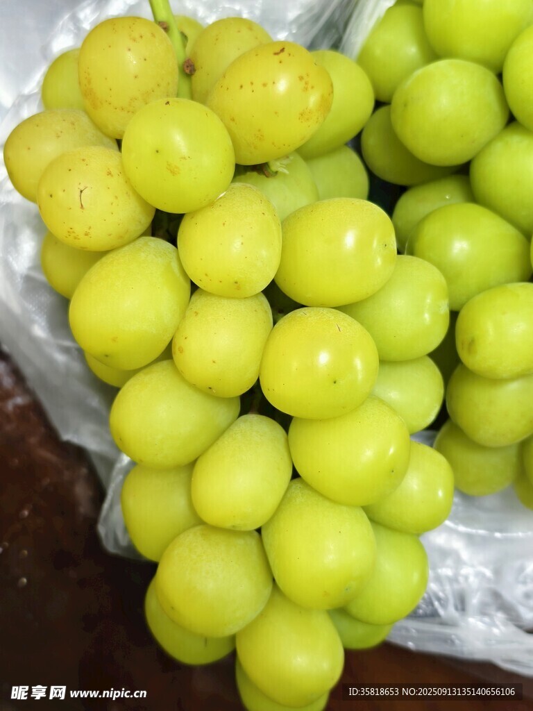 新鮮青提