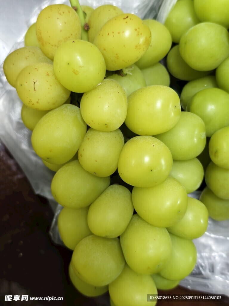 新鮮青葡萄