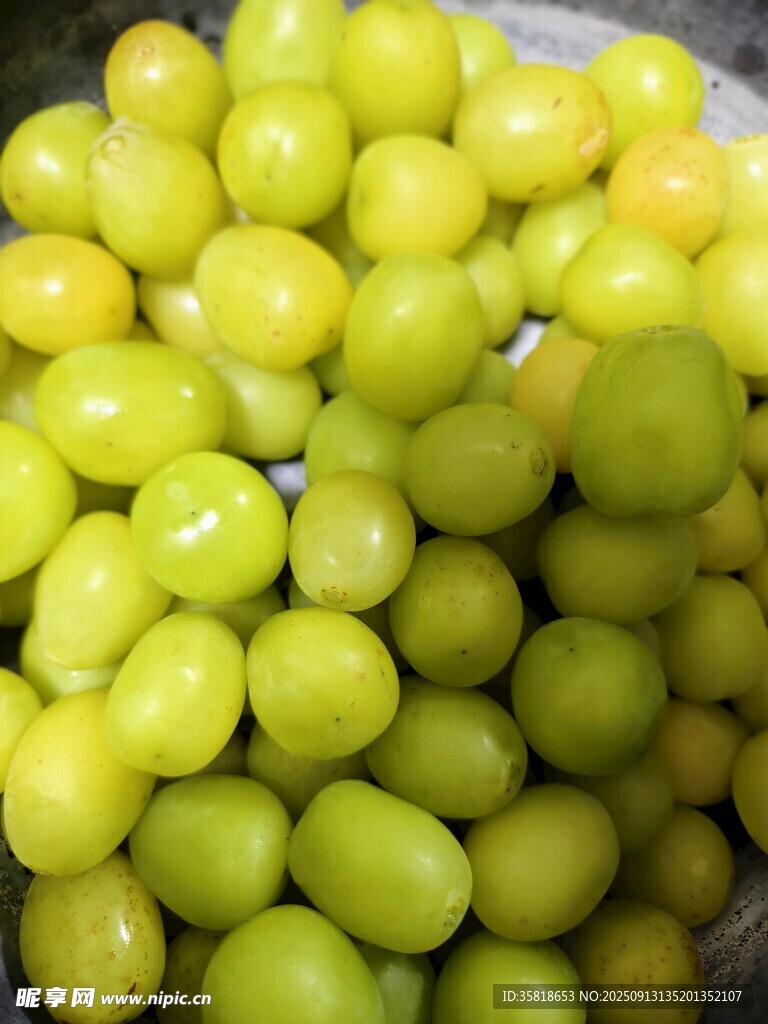 新鮮青提果