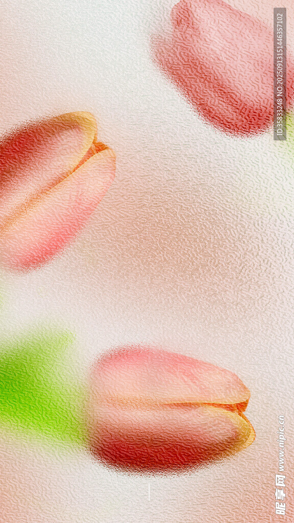 粉色郁金香花苞特寫