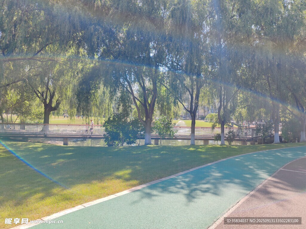 公園多彩跑道與蔥郁樹木