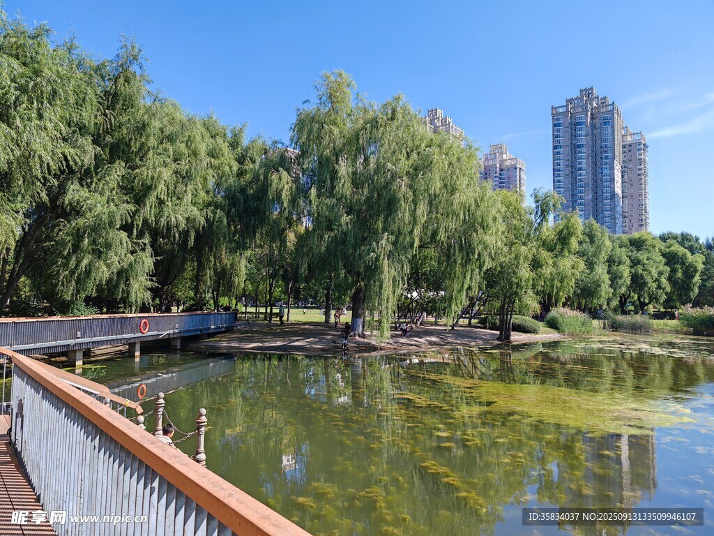 城市湖畔風(fēng)景