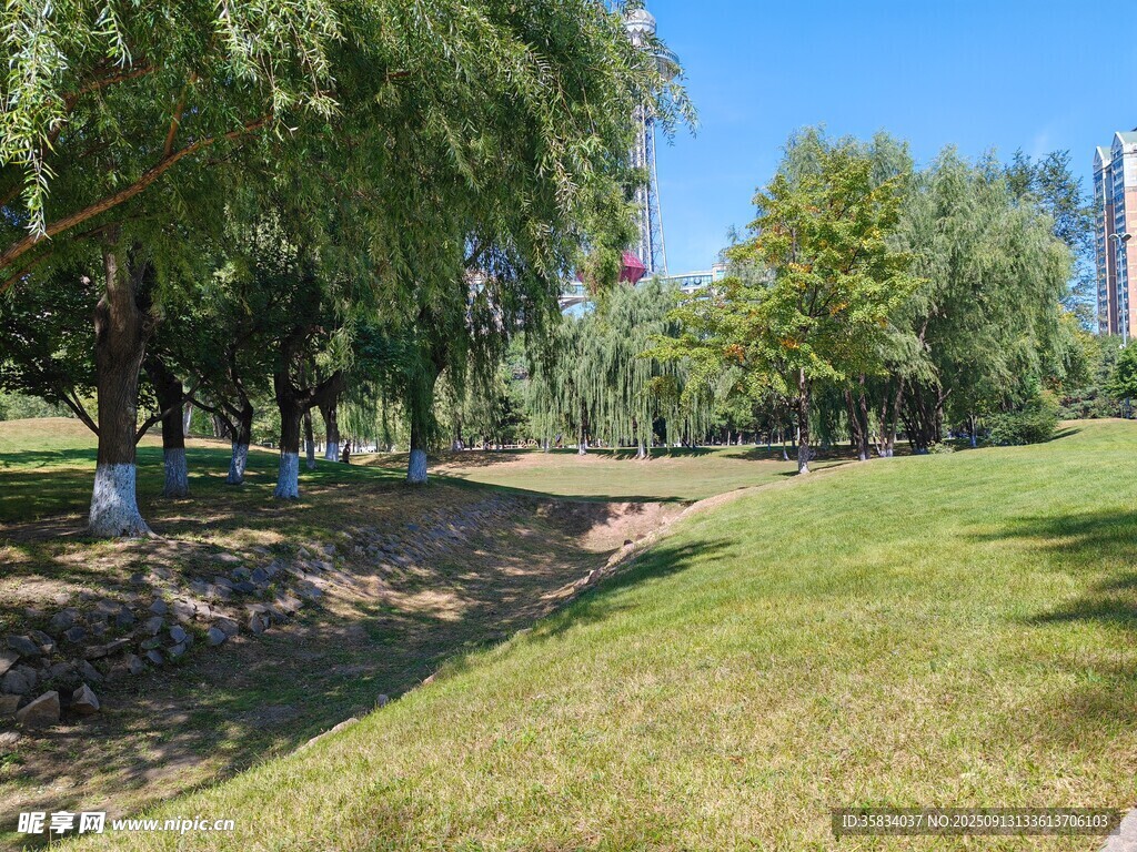 城市中的綠意盎然公園景