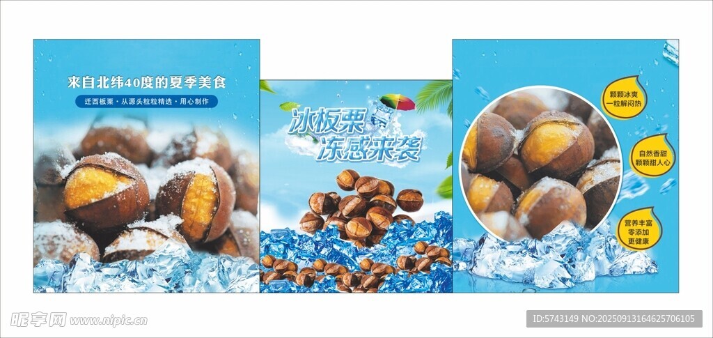 板栗
