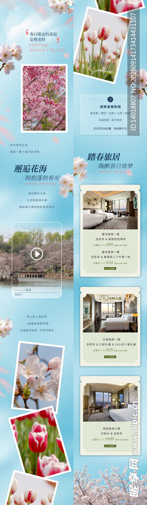 賞花踏青長圖