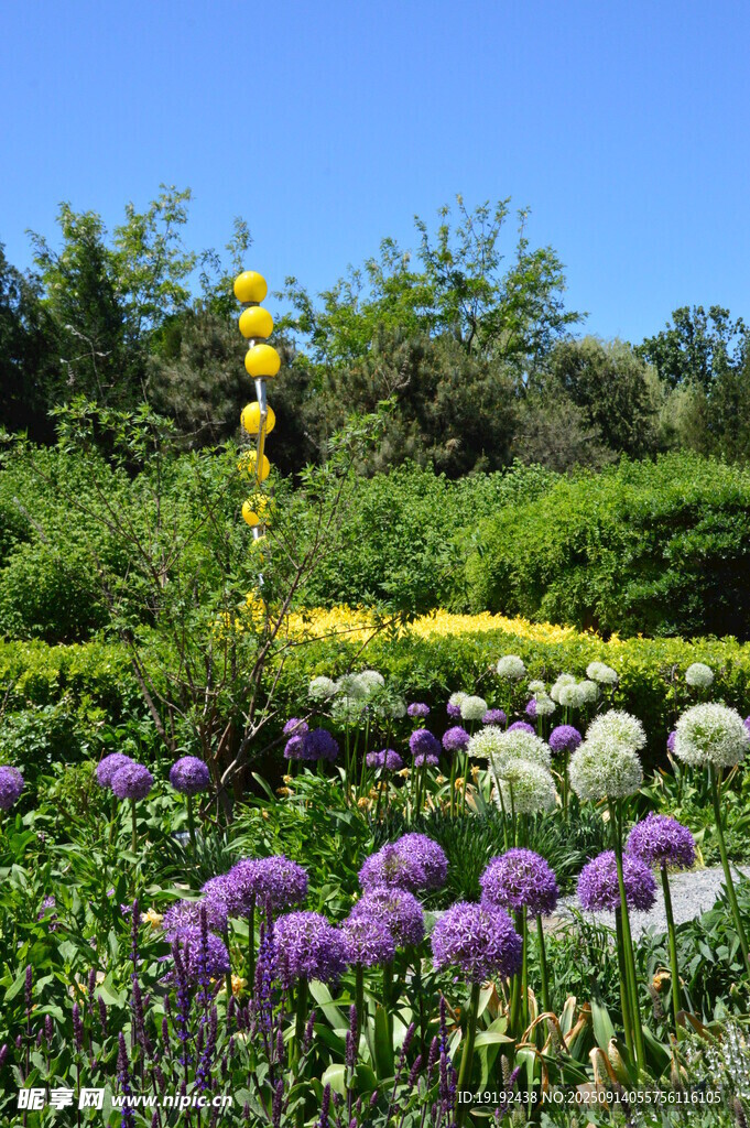 花園風(fēng)景 