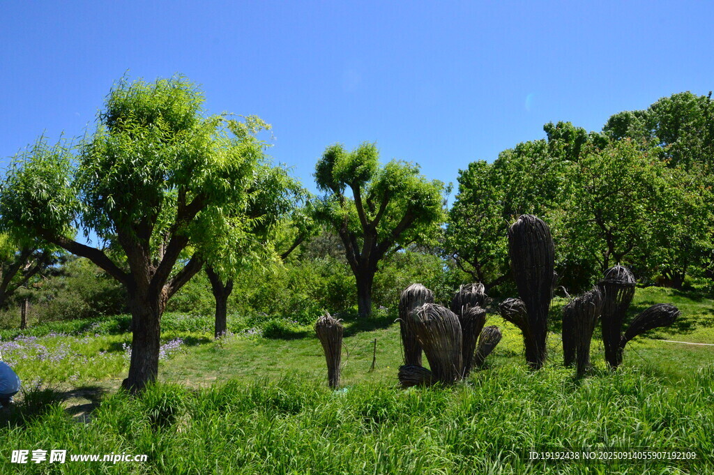 花園風(fēng)景  