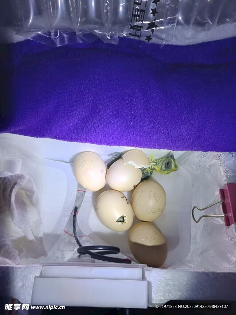 新鮮水果擺放在容器中