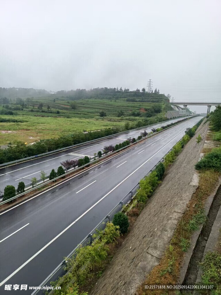 雨中公路綠意環(huán)繞景象