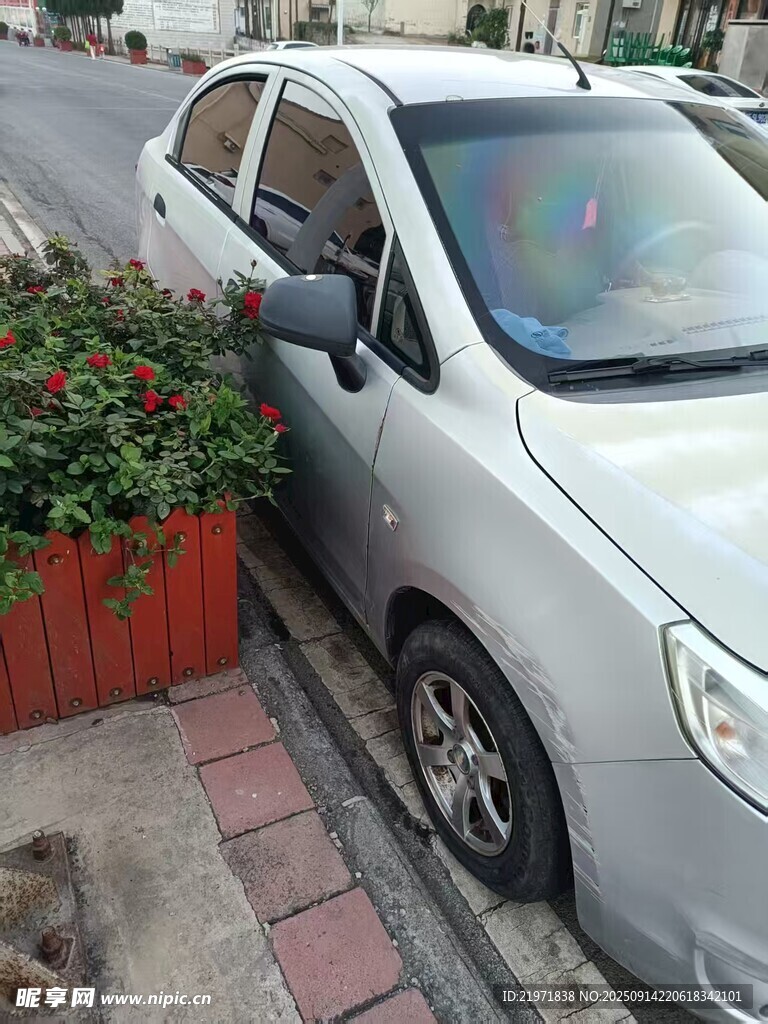 銀色轎車旁的綠植花箱