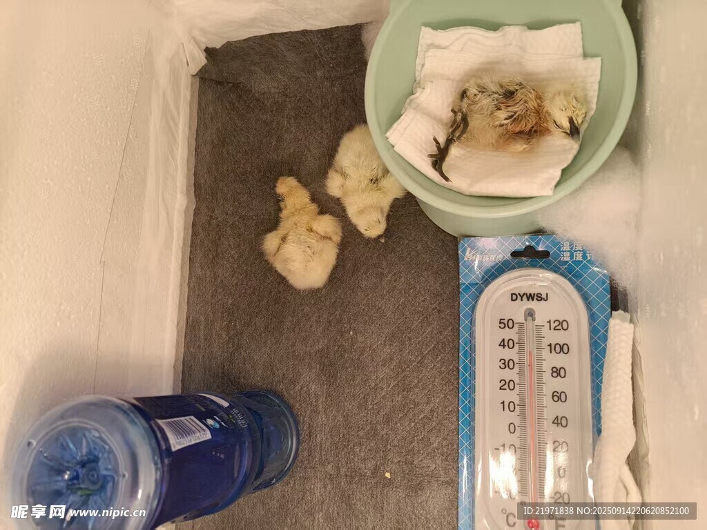 室內(nèi)角落的物品擺放