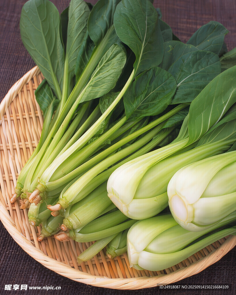 竹籃中的鮮嫩小白菜