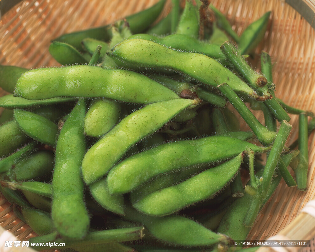 竹籃中的鮮嫩青毛豆