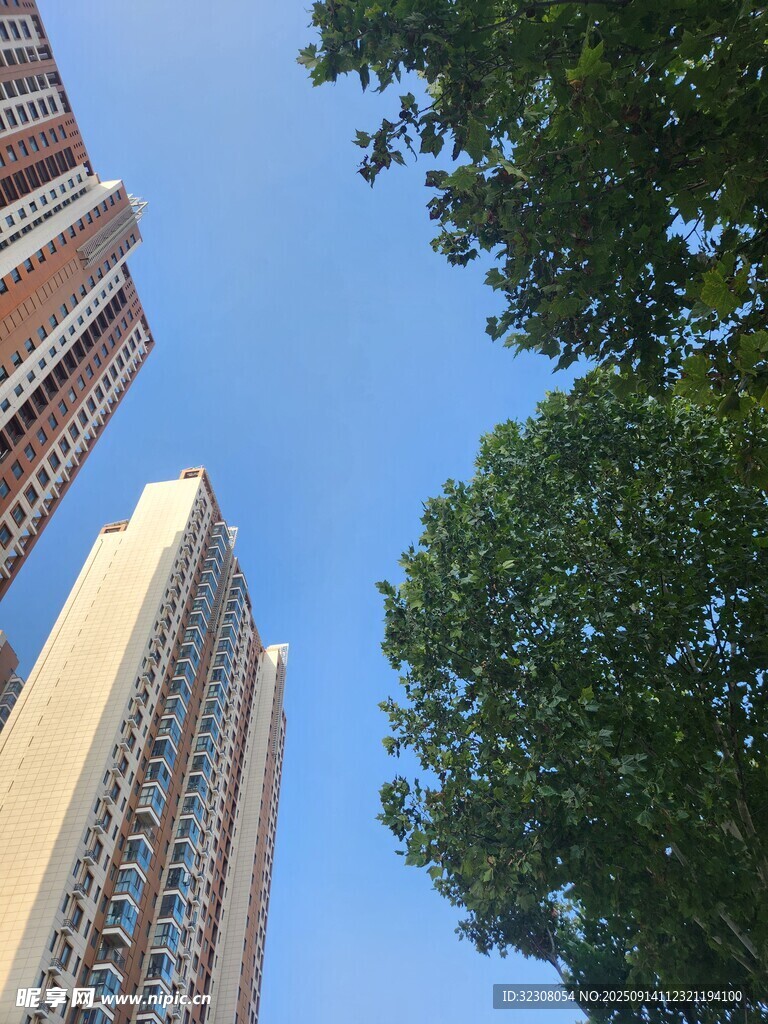 高樓綠樹(shù)間的晴朗天空
