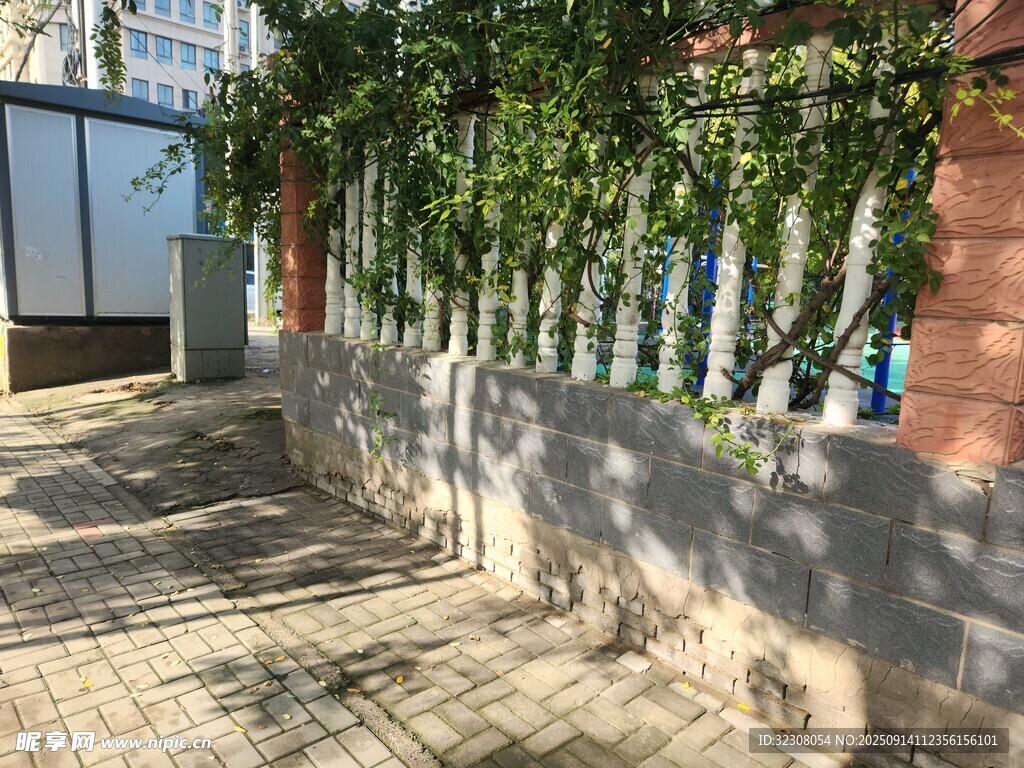 庭院綠植與圍墻景觀