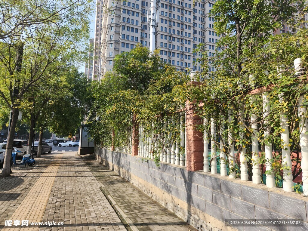 城市街邊林蔭小道風景