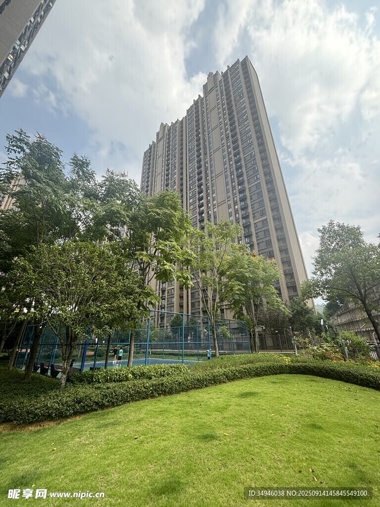 城市中蔥郁草坪與高樓美景