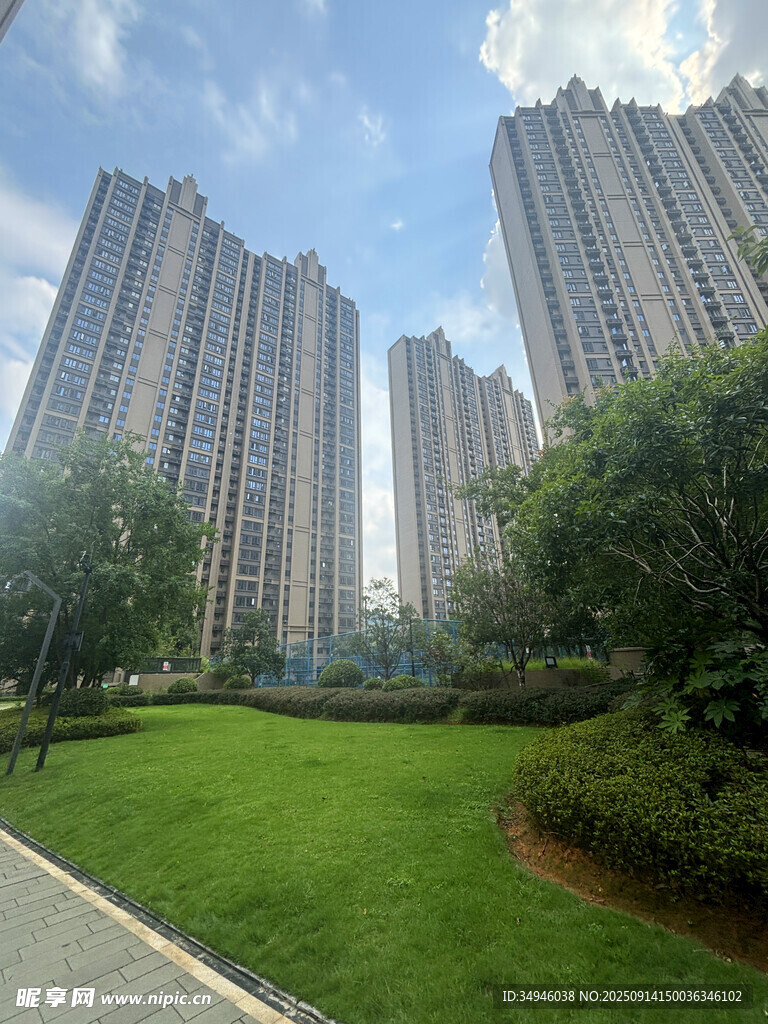 城市高樓旁的綠意草坪