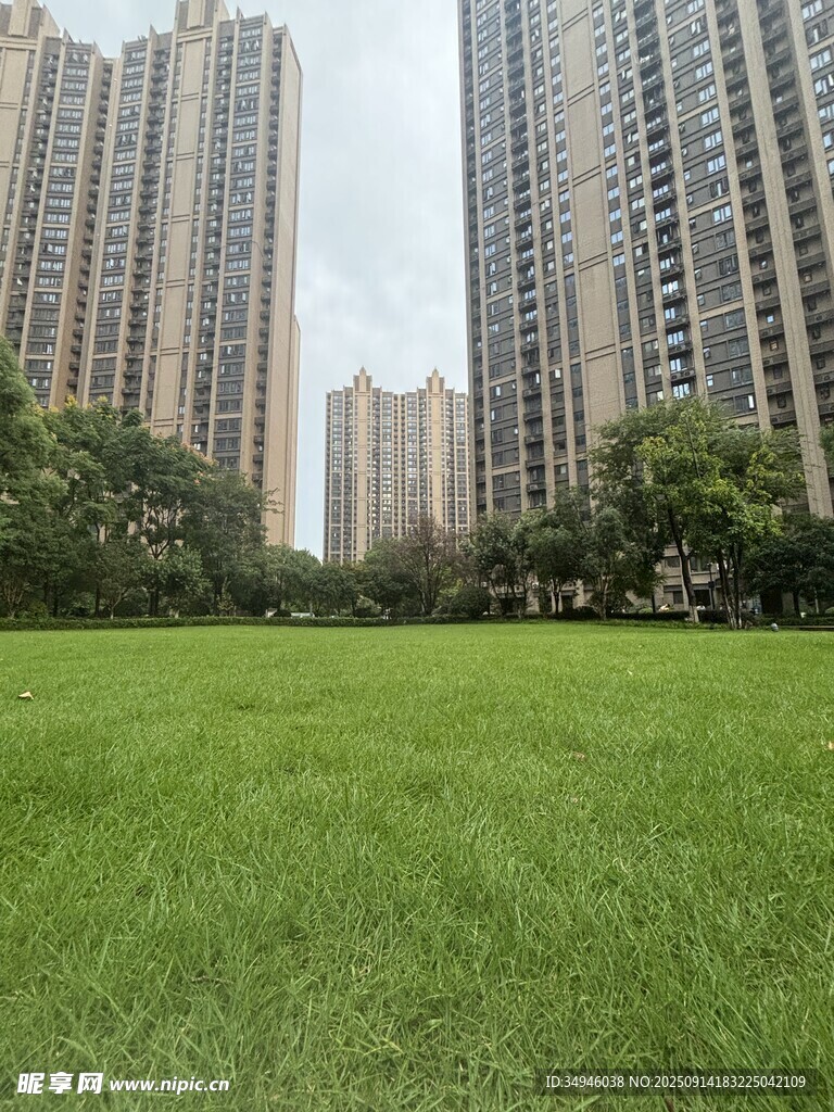 城市綠地旁的高樓景觀
