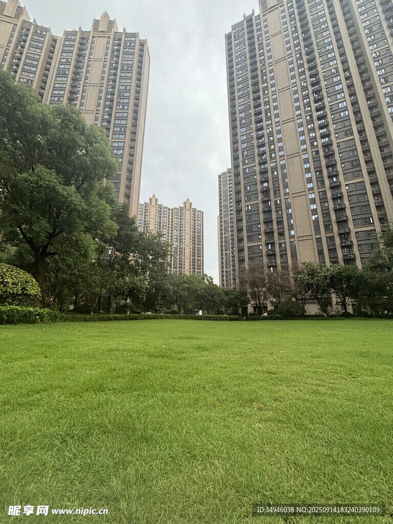 城市綠地旁的高樓景觀