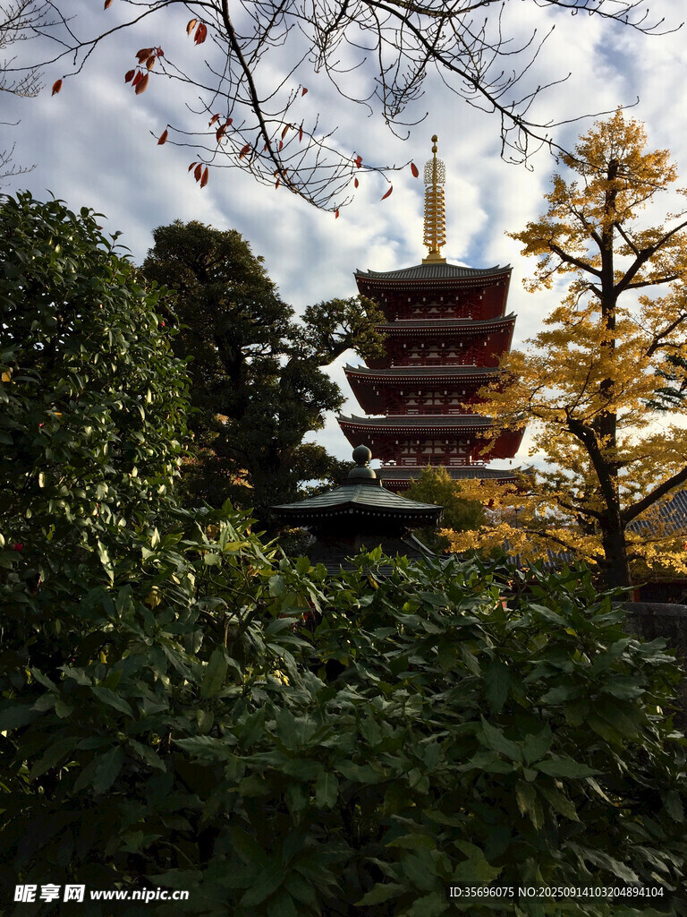 秋日山林中的古樸寶塔