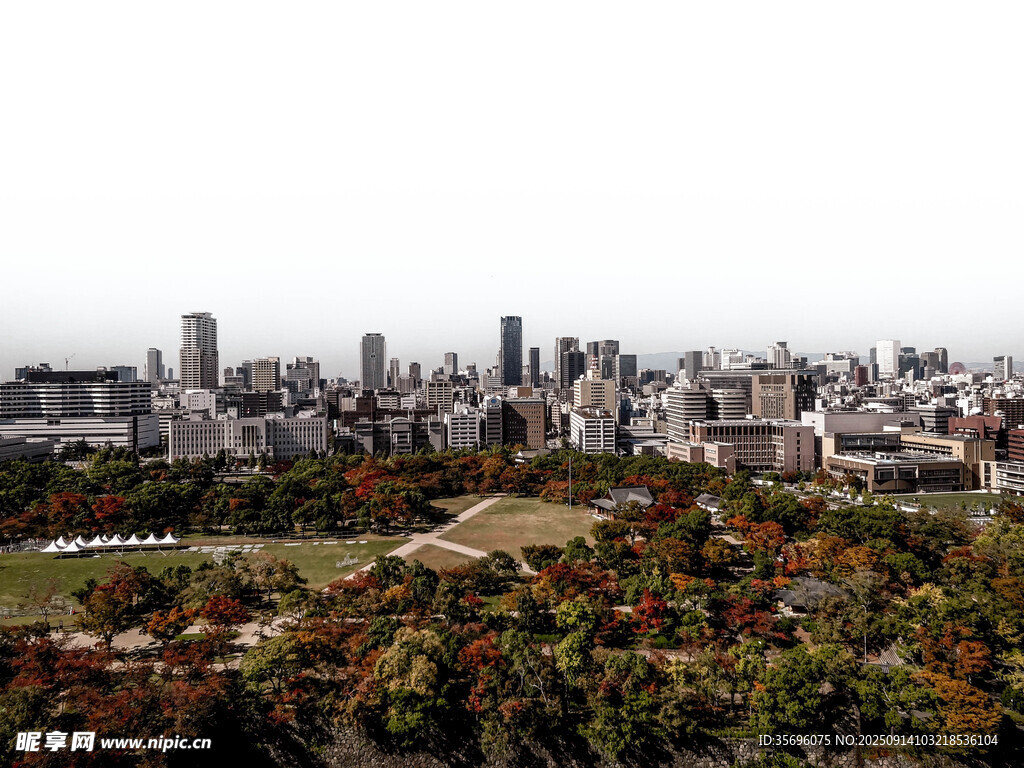 城市與綠植交映的美麗景觀